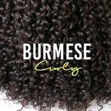 Burmese Hair